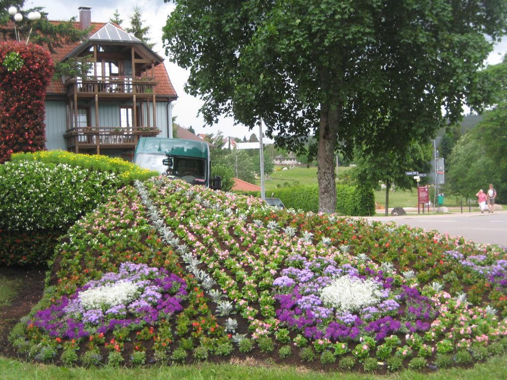 Apartment Eisenhauer In Schluchsee Ngoại thất bức ảnh